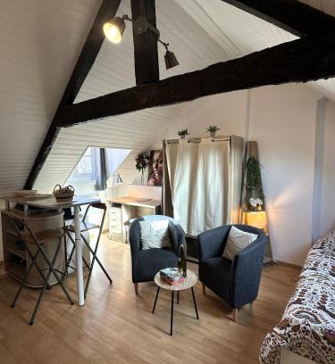 Quimper Apartment | Studio Sur les Toits - Centre Historique