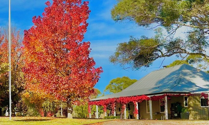 Mongarlowe Other | Stunning Homestead & Cottage, just 10 minutes from historic Braidwood.