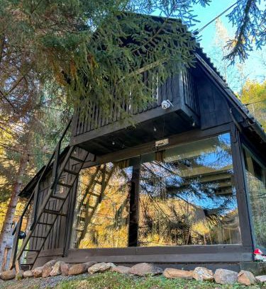 Bulz Ski Chalet | Sturzul Negru