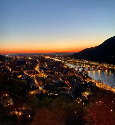 Heidelberg City Centre Apartment | stylish suite OldTown free parking Air Condition