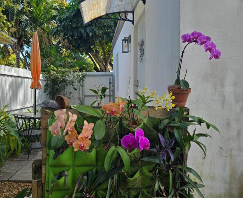North Miami Beach House | Suite Life at Chez Mercedes