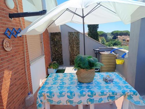 Campo Ascolano Apartment | Sun beach apartment