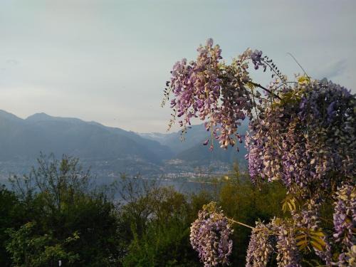 Vira House | Sun, fun & relaxation, the Ticino for you!