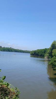 Chilaw Hotel | Sunbeam Family Resort