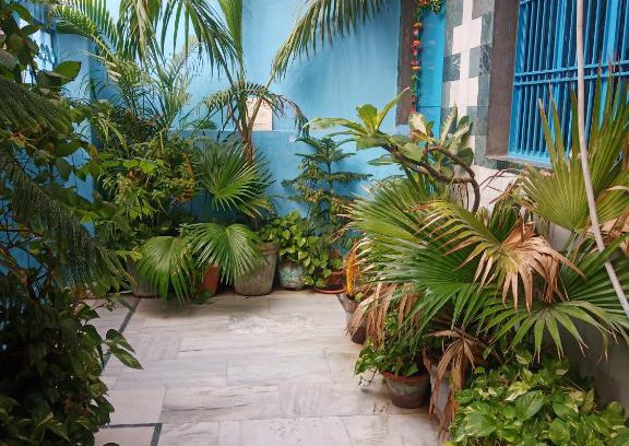 Agra House | Sunita homestay