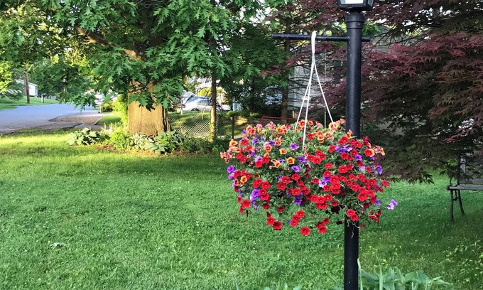 Boalsburg House | Sunny and Bright Home, Close to Penn State's Campus