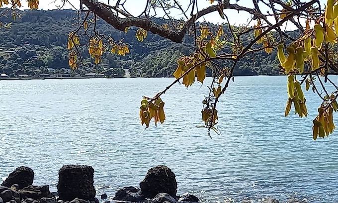 Huia House | Sunny house in sheltered bay, great views, classic kiwi ambience