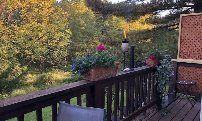 Wheaton-Glenmont House | Sunny Peaceful Suburban Washington DC Escape