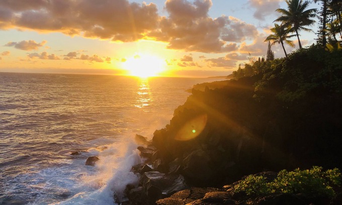Kapoho Apartment | Sunrise Suite - Oceanfront lodging
