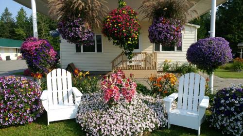 St Ignace Hotel | Sunset Motel at Armand's Gardens