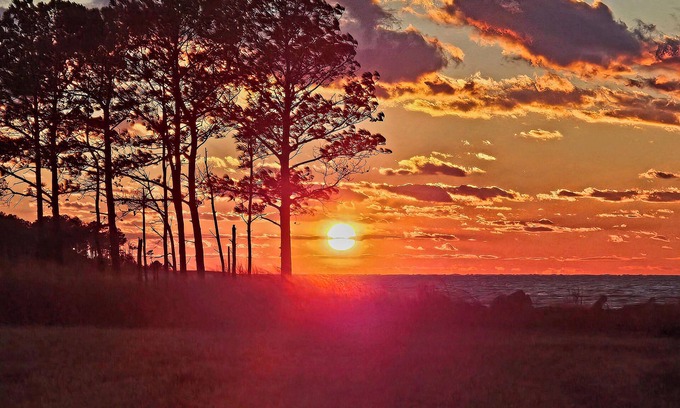 Belle Haven Other | SUNSET POINT FARM - Gracious Country Farm on the Chesapeake Bay - 75 Acres
