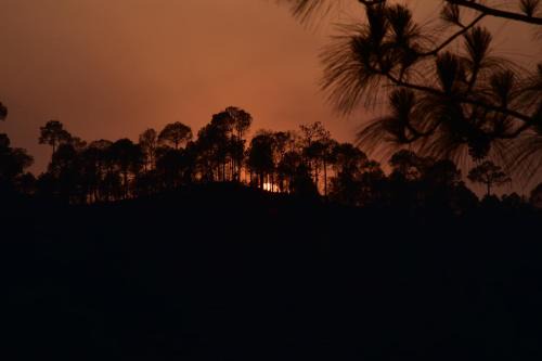 Kumarhatti Apartment | Sunset View Forest Vibes Kasauli