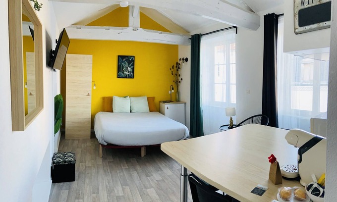 Gannat Apartment | Superb studio jungle downtown Gannat.