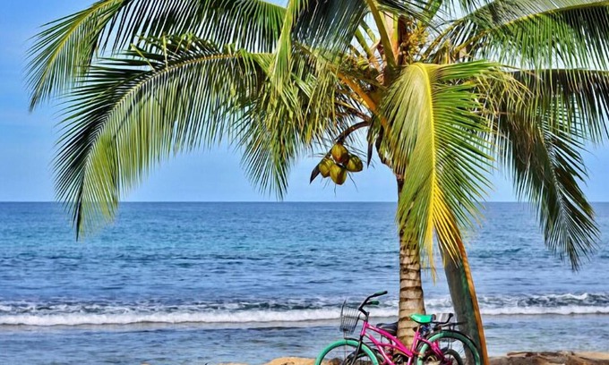Bocas del Toro Bed & Breakfast | Surf Break at Paunch