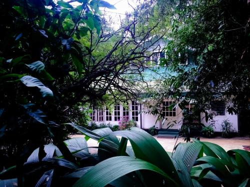 Welimada Resort | Surrey Bird Sanctuary & Holiday Resort