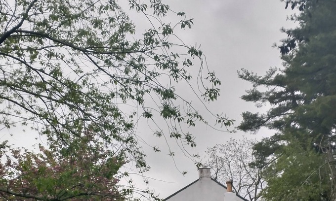 Creamery House | Sweet Farmhouse in Charming Skippack PA