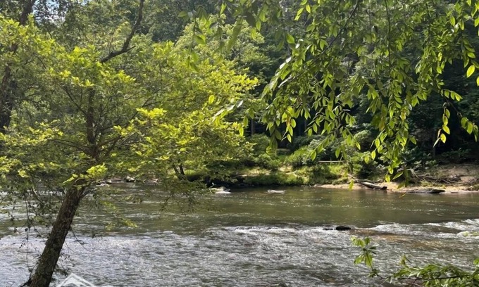 Ellijay Cabin | Sweet Water Retreat- 2/2 River Front, dog friendly, HOT TUB