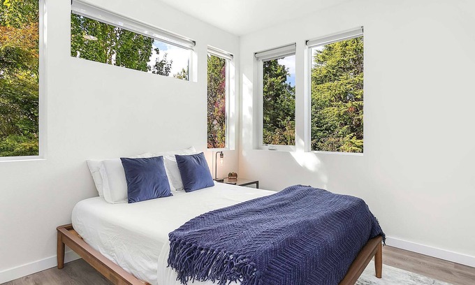 Capitol Hill Apartment | Syrax's Dragonstone Den