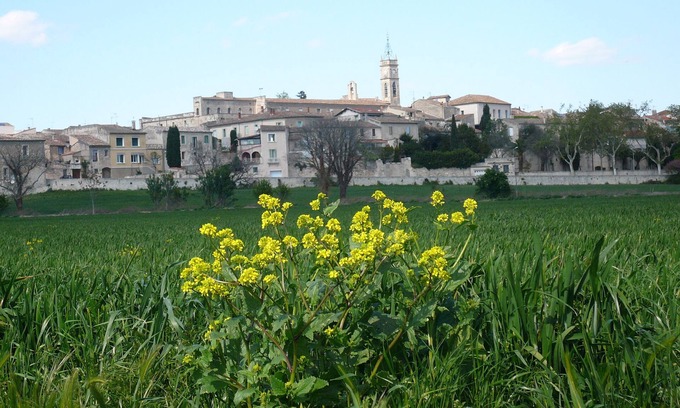 Saint-Genies-des-Mourgues Apartment | T2 in the countryside in a village near the coast