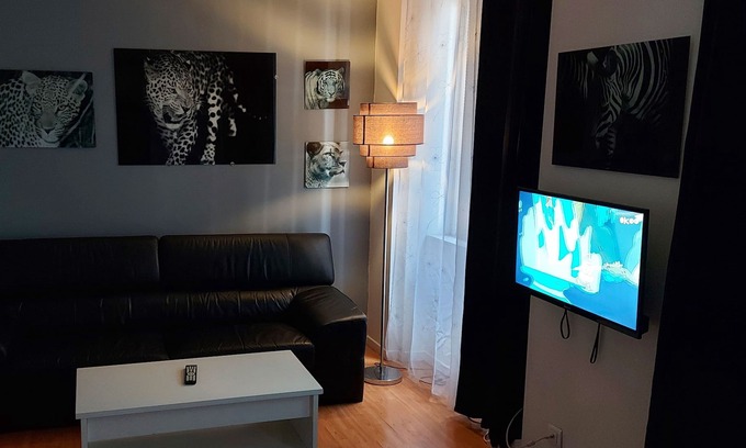 Saint-Roch - Badouillere - Chavanelle Apartment | T2, NETFLIX, WI FI, CENTER, tram, bus, near opera and all faculties