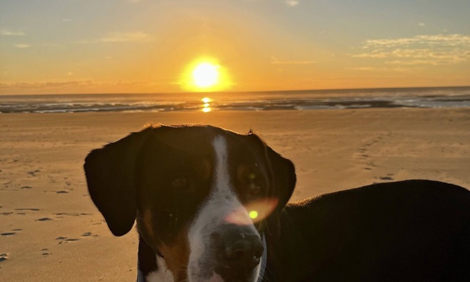 Fort-Mahon-Plage Apartment | T3 duplex hyper center fort mahon 700 meters from the beach close to all shops.