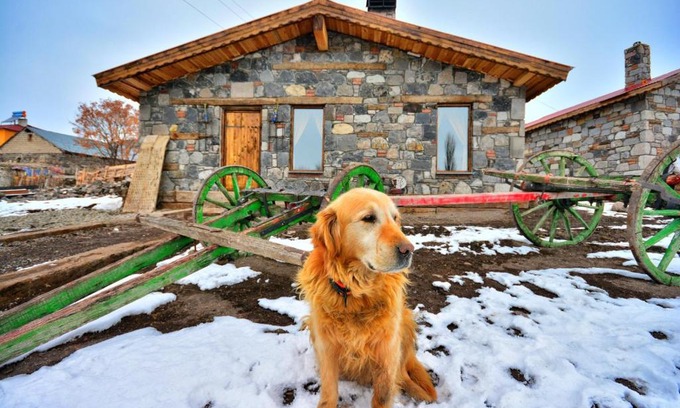 Selim Ski Chalet | taş evler