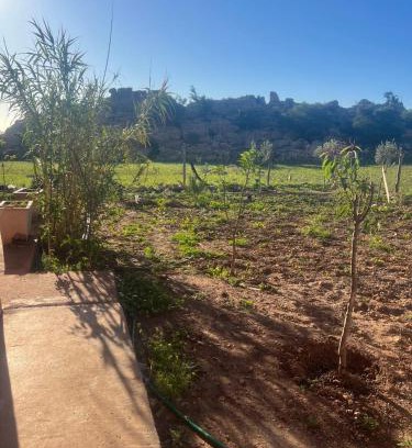 Drargua Apartment | taourirt happy home
