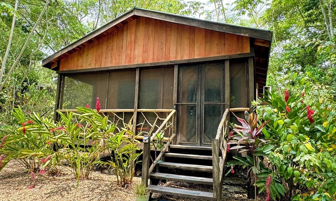 San Ignacio House | Tapir at Lost Compass Cabanas