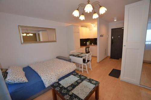 Stare Miasto District Apartment | Tarasy Wilczak 16d