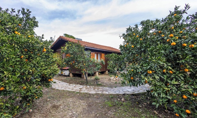 Cirali House | tatil evi dilek çıralı türkiye