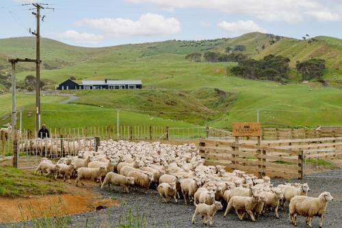 Te Akau House | Te Karaka Lodge