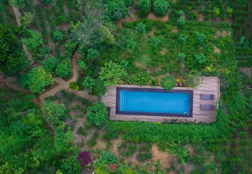 Ella Villa | Tea Cabins