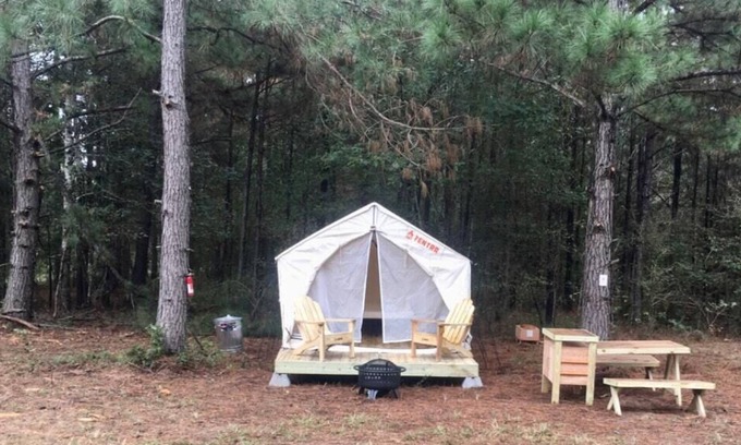 Pennington RV Rental | Tentrr Signature Site - HFR Campsite in the Davey Crockett National Forest #1