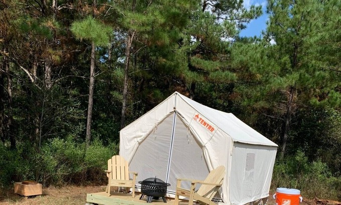 Pennington RV Rental | Tentrr Signature Site - HFR Campsite in the Davey Crockett National Forest #3