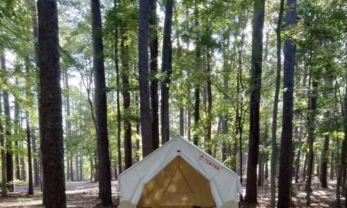 Zwolle RV Rental | Tentrr State Park Site - Louisiana North Toledo Bend State Park - Forest Glade H