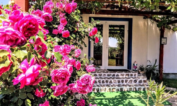 Baile Felix House | Teo Guest Rooms