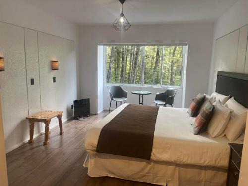 Palguin Alto Hotel | Termas Palguin Pucón