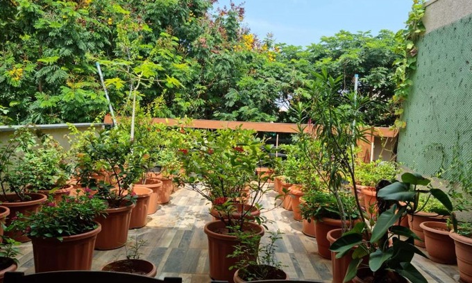 Begumpet Apartment | Terrace Garden