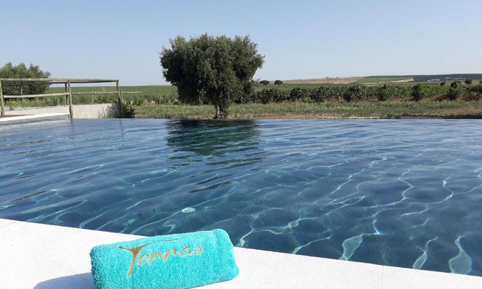 Beja House | Terras - Agroturismo & Vinhos