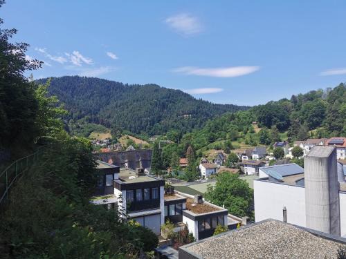 Hornberg Apartment | Terrassenwohnung mit toller Aussicht & zentrumsnah
