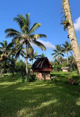 Tetebatu House | Tetebatu Rice field bliss