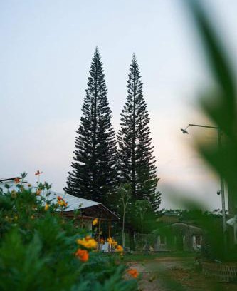 Bao Loc House | Thông Vi Vu Glamping