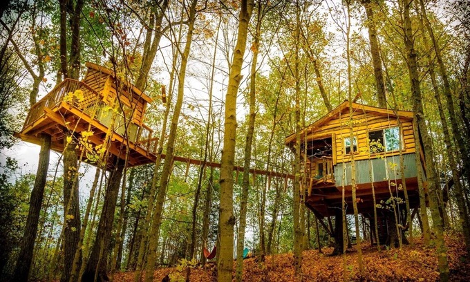 Stonewall Cabin | The Aliyah Treehouse with swinging bridge +285 acres hiking trails