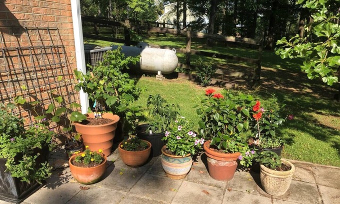 Montevallo Apartment | The Apartment - 3 miles to I 65