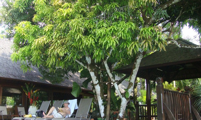 Manuel Antonio House | The Bali House at the beach, the best house and the best location by far !