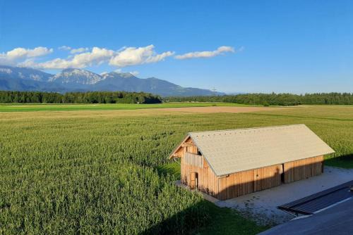 Kranj Apartment | The Barn Košnik