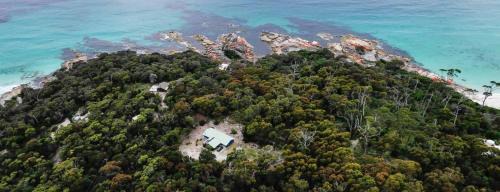 Binalong Bay House | The Blue Bush Shack in Binalong Bay