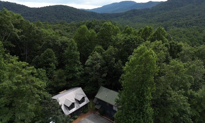 Black Mountain Cabin | The Bridge Retreat w/game room