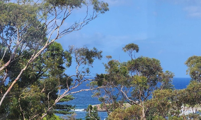 Kiama Apartment | The Cabbage Palm Kiama. 5 min walk to everwhere. Location Location Location!