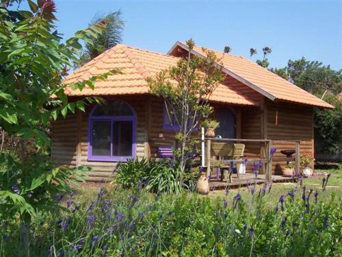 Liman Cabin | The calm west